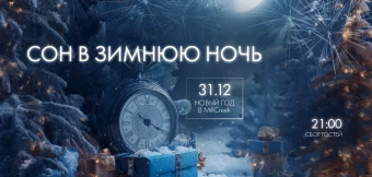 Новогоднее Предложение «Сон в Зимнюю ночь!»: Фотография