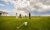 Golf: Photo 4