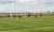 Football: Photo 3